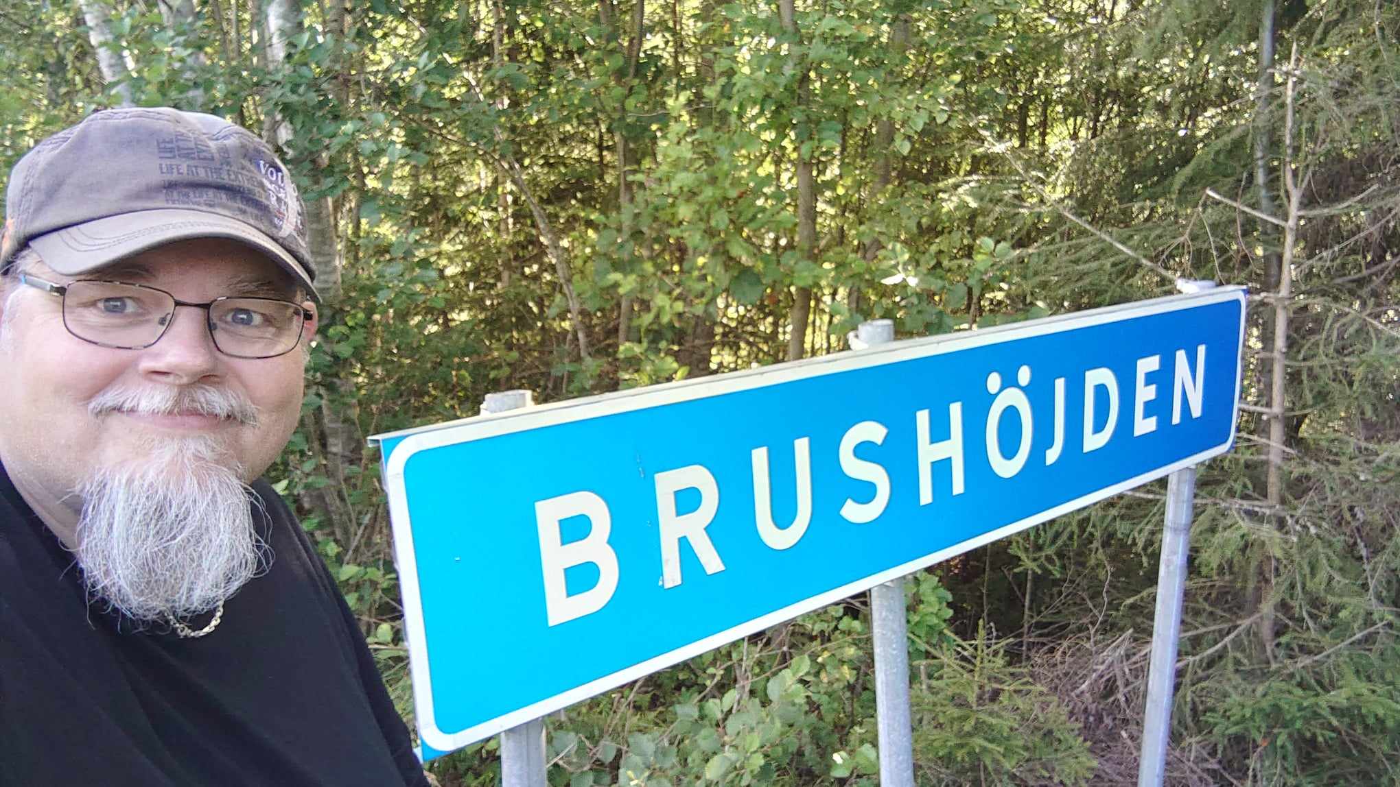 Brushöjden nordost om Lesjöfors