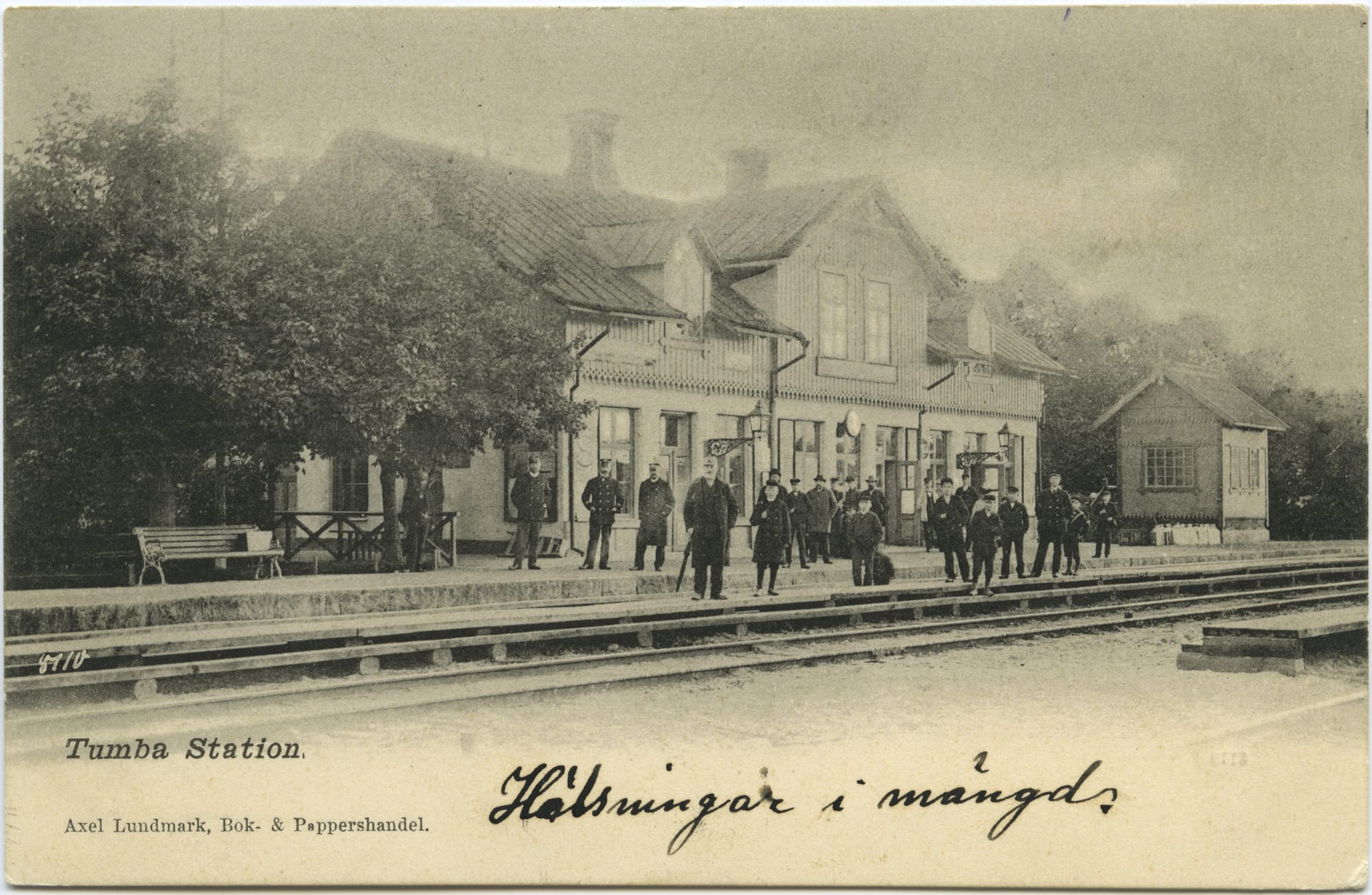 Teodor Hederén Tumba 1901